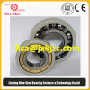 Electrically insulated bearing 6330