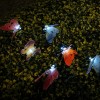 Cixi landsign solar light factory with BSCI and ISO9001 certified butterfly string lights