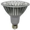 E26 80Ra SMD 20 watt 3200k PAR38 led spot light bulbs with Silver Housing