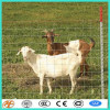 high- tensile large knotting fence for Animals of the Prairies