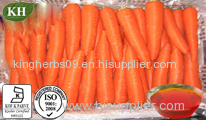 Carrot Seed Oil;30%,35%min. by HPLC