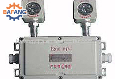 explosion-proof double-headed emergency light