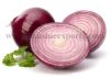 Offer To Sell Fresh Onion