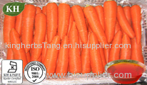 china Carrot Extract powder
