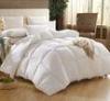 15% White Goose Down 85% Goose Feather Cotton Quilt / Warm Duvet for Hotel or Home