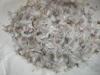 Grey Duck Feather High Cleanliness Quilt Filling Material for Down Jacket or Down Pillow