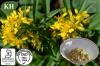 Banaba Leaf Extract;Corosolic acid 1%~98% by HPLC