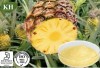 Pineapple Extract; Bromelain 600~2400 GDU/G