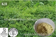 Gynostemma Extract; Gypenosides 80%, 95%, 98% By UV.