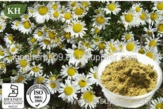 Chamomile Extract Apigenin 0.3%,98% by HPLC