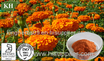 Marigold Extract Lutein 5%-95%(HPLC)