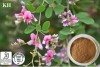 Lespedeza capitata Extract Flavonoids 6% by UV; 12:1