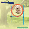Dog Agility Training Product Accessories