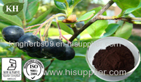 Black Chokeberry Extract;Vitamin C 5% By CP2000, Anthocyanidins 2.5%,20%,25% By UV