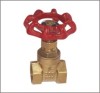 Brass Gate Valve Forged Body