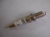 diguo auto parts spark plug