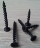 bugle head drywall screws