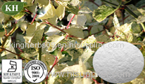 Polydatin 98% by HPLC;Polygonum Cuspidatum Extract;Resveratrol 98% HPLC;