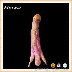 Cavernosum penis plastination technique