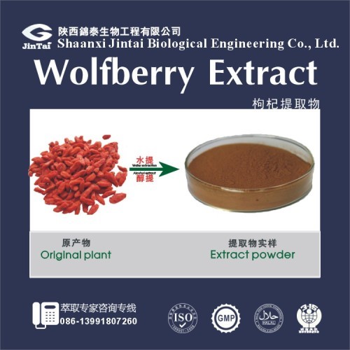 Manufacture Wolfberry Extract goji berry extrac