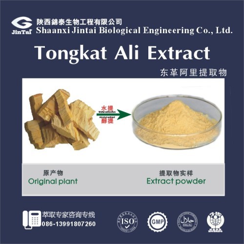 natural Tongkat Ali Extract for man sexual enhancement
