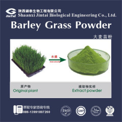 Watersoluble Organic Green Wheat/Barley Grass Powder