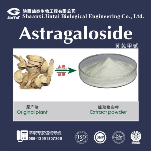 Factory price 5% 10% 20% Astragaloside Astragalus Root Extract
