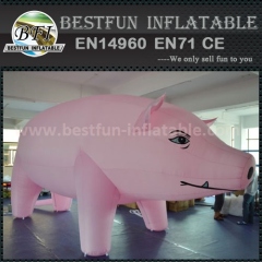 Cute advertising inflatable pig cartoon