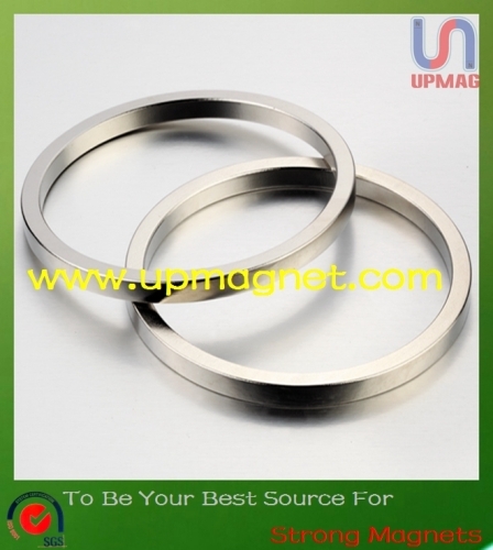 Rare Earth Ring Sintered Neodymium-Iron-Boron magnet