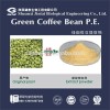 50% Chlorogenic acid organic green coffee bean extract