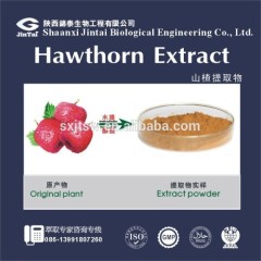 organic flavones Hawthorn Extract