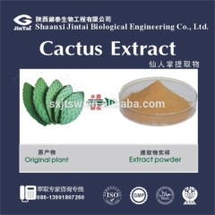 Natural Organic Loss weight efficacy Hoodia Cactus Extract