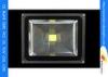 COB RGB Exterior 30W LED Flood Light AC85 - 265V With 120 / 60 Beam Angle