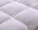 Eco-Friendly Cotton Plain Soft Bedding Fabric Home Textile Fabric 40*40 133*100