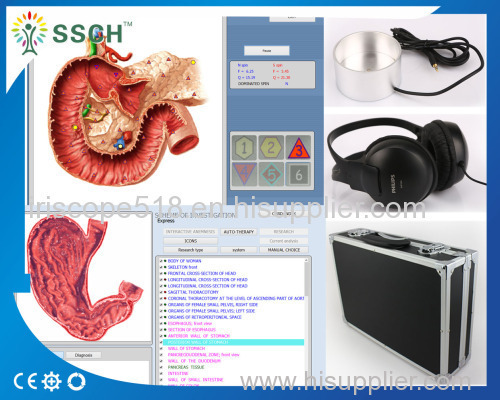 Mini Portable Professional 8D NLS Full Body Sub Health Analyzer with Bioresonance Software