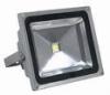 50W IP65 LED Flood Lighting DC Low Voltage for Ship or Plant Meamwell Driver