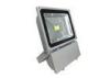 100w Pure White Outdoor LED Flood Lighting With Bridgelux Chips / Toughened Glass