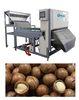 LED CCD Color Sorter Machine 700 - 2500LM , 220V Walnut Sorting Machine