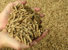 Wood Shavings Pellet Mill/Wood Particle Pellet Mill Manufacturer/Fote Wood Particle Pellet Machine