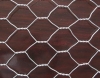 High Quality Hexagonal Netting/Chicken Mesh