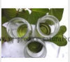 gardenia green ----green colorants