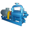 Double Stage Water-Ring Vacuum Pump Used in Medicine Industry