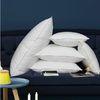 2cm - 4cm White Duck Feather Cotton Cushion Inserts Double Stitched Piping for Home / Hotel