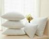 Rectangle Soft Polyester Fiber Cushion Inserts / Pillow Insert with Microfiber Filling Material