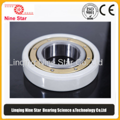 Electrically Insulated Bearing Manufacturer 190x290x46mm