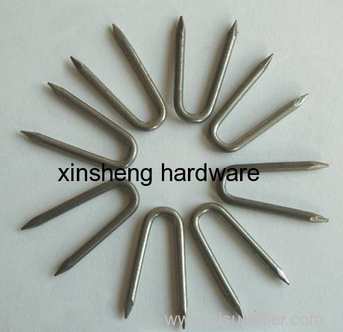 Iron U-Shape Nail in High Quality