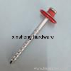 Galvanized Assembled Roofing Nails with Colorful Washer
