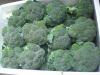 Fresh Broccoli in box with ice
