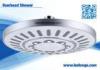 Sunflower Single Function Detachable Overhead Shower Head 200mm