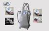 Vertical Cryolipolysis Weight Loss Fat Freezing Machine , Body Slimming Equipment